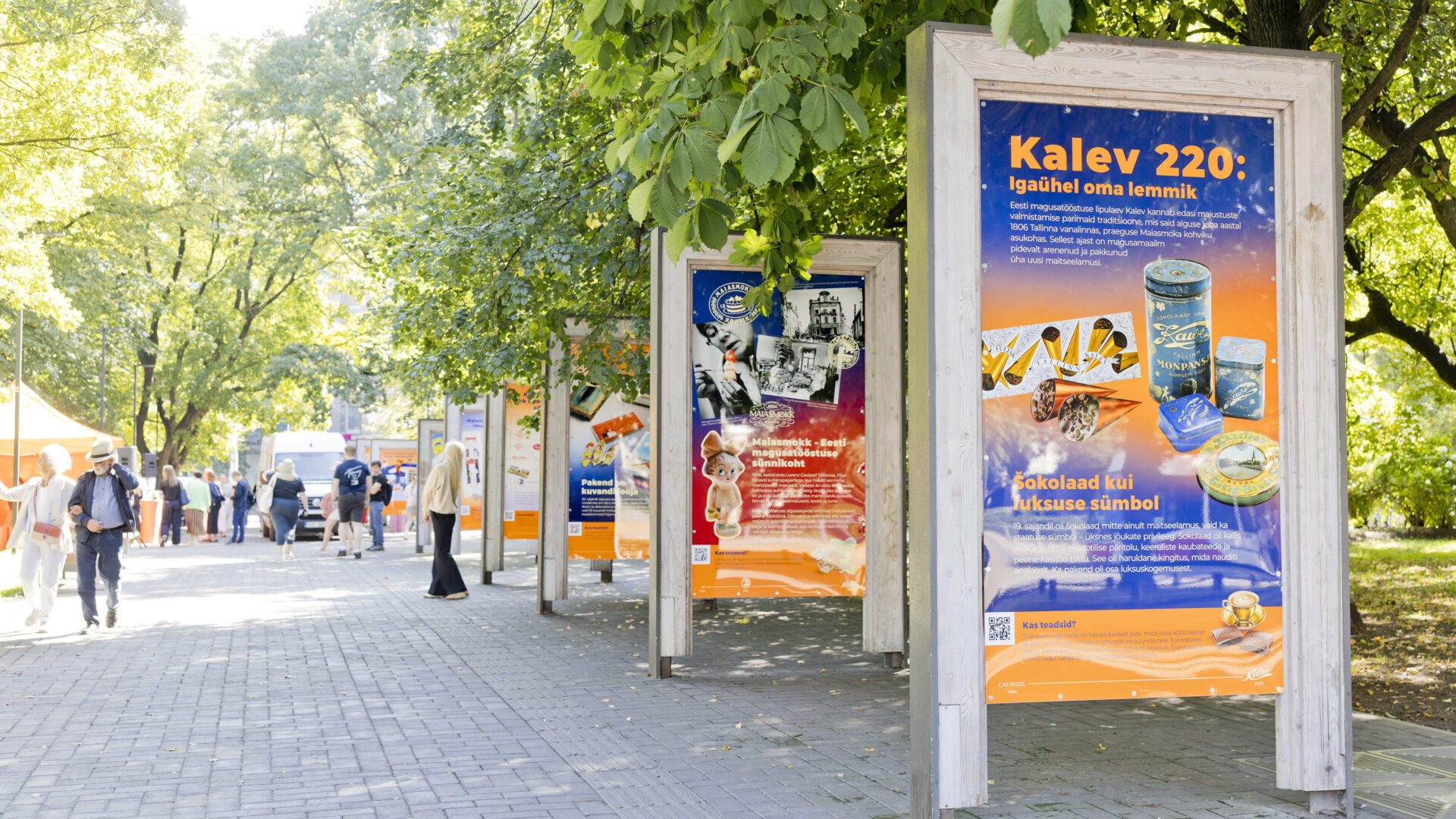 Kalev-220_Tammsaare-scaled-aspect-ratio-16-9